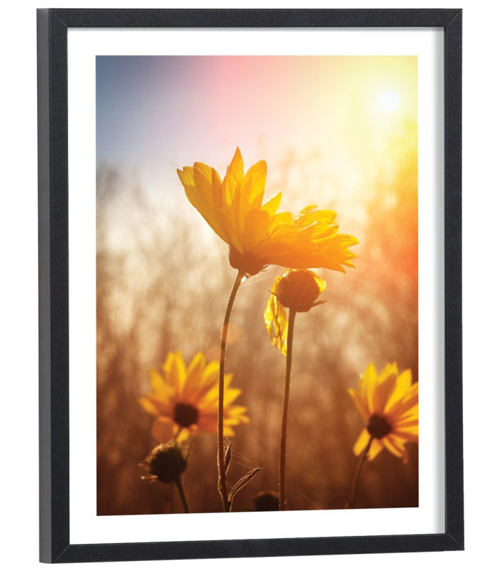 Tableau fleurs Tournesol au soleil