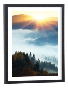 Affiche Forêt sous la brume