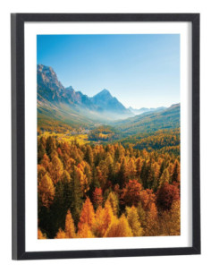 Affiche Paysage de fôret en montagne l'été