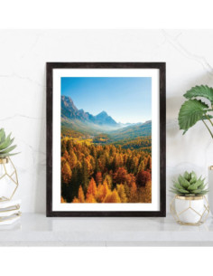 Affiche Paysage de fôret en montagne l'été 2
