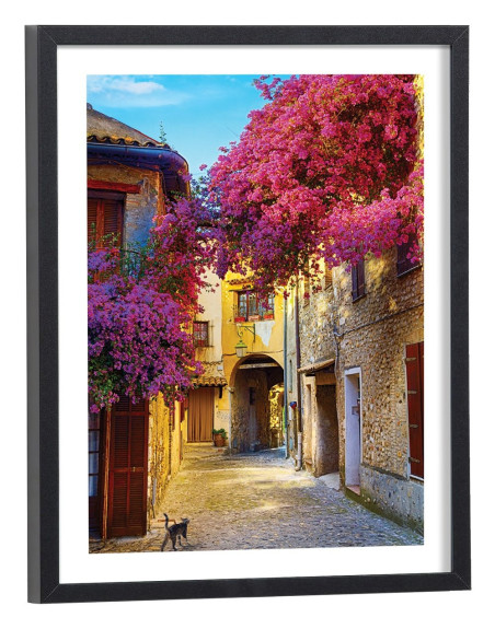 Affiche Ruelle fleurs violettes