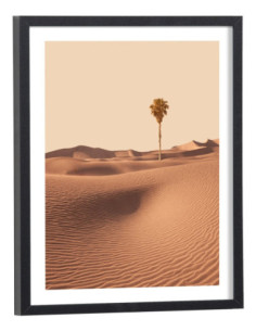 Affiche paysage Palmier dans le desert