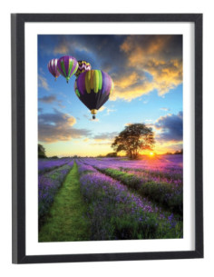 Affiche paysage coloré de montgolfières au dessus des champs