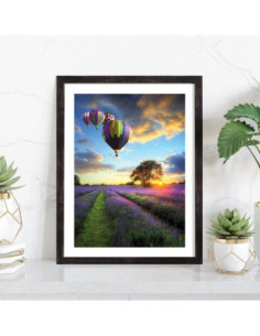 Affiche paysage coloré de montgolfières au dessus des champs 2