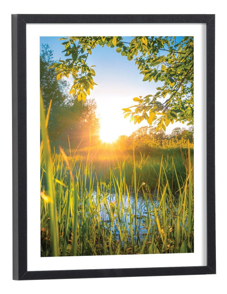 Tableau Coucher de soleil dans la nature