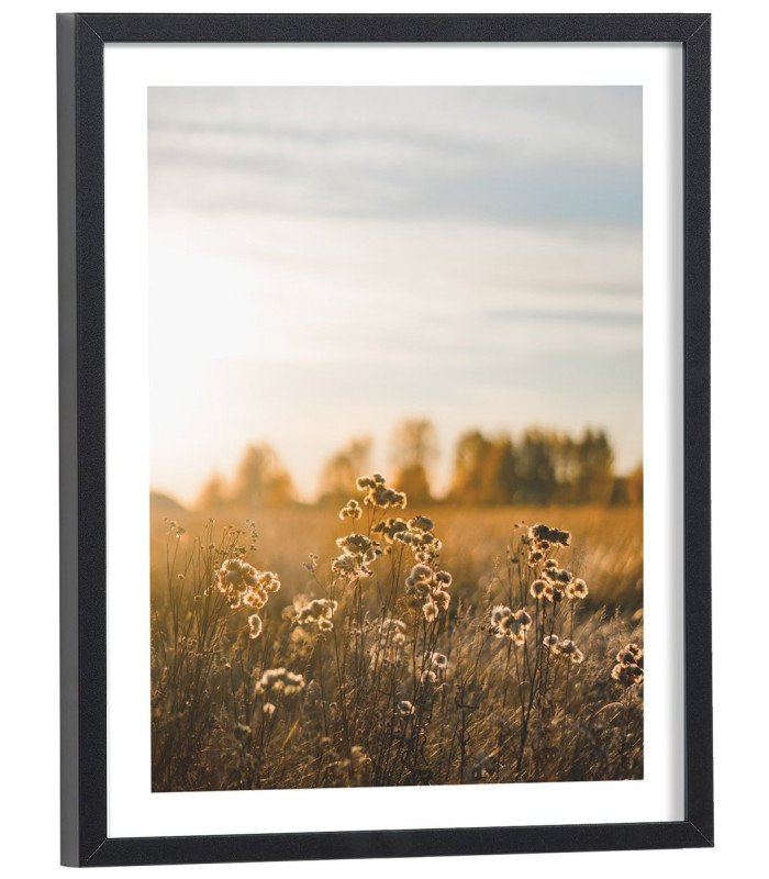 Tableau nature Champ en fleurs