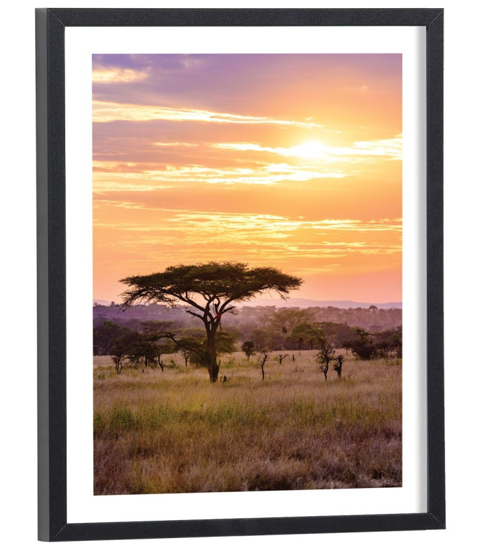 Affiche Coucher de soleil dans la savane