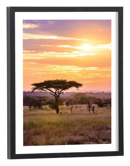 Affiche Coucher de soleil dans la savane