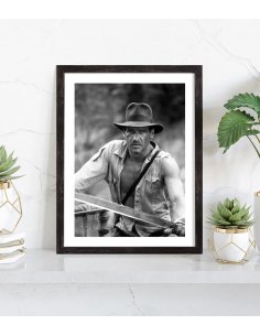 Tableau Indiana Jones 2