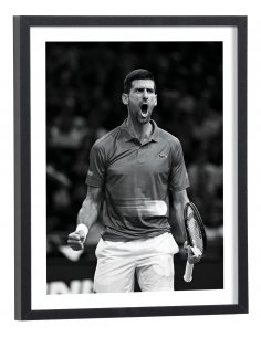 Tableau tennis Novak Djokovic