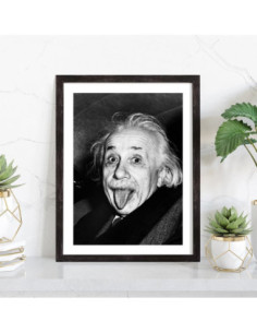 Affiche Albert Einstein langue 2