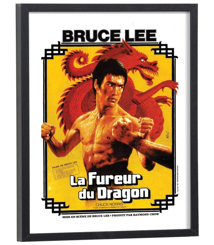 Affiche du film La fureur du dragon