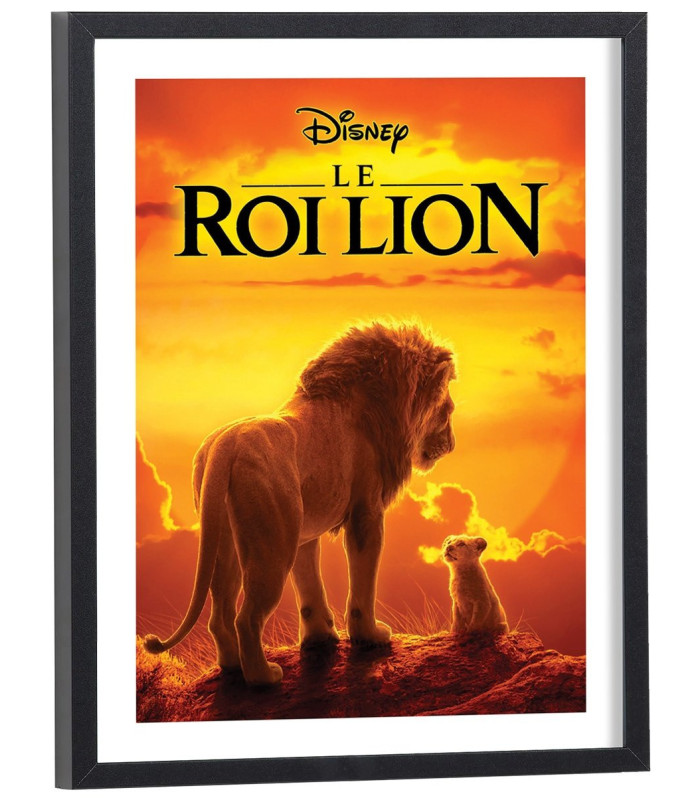 Affiche du film Le roi lion