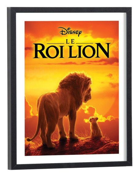 Affiche du film Le roi lion