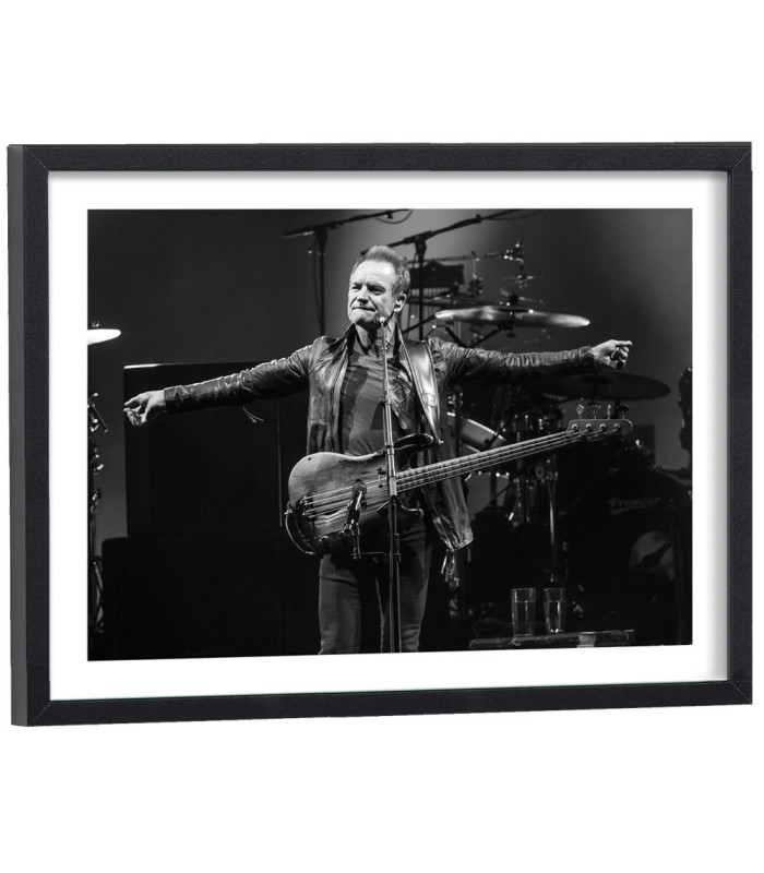 Affiche Sting