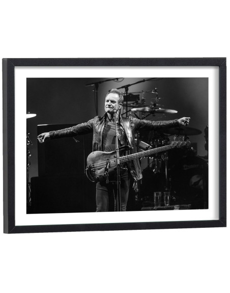 Affiche Sting
