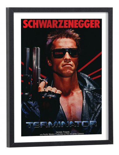 Affiche film Terminator