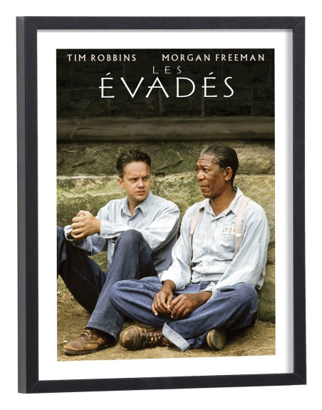 Affiche film Les évadés