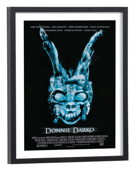 Affiche film Donnie Darko