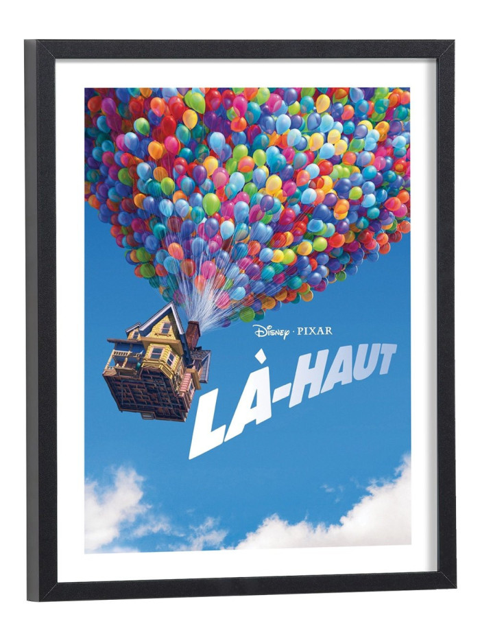 Affiche film Là haut Affiche film Là haut