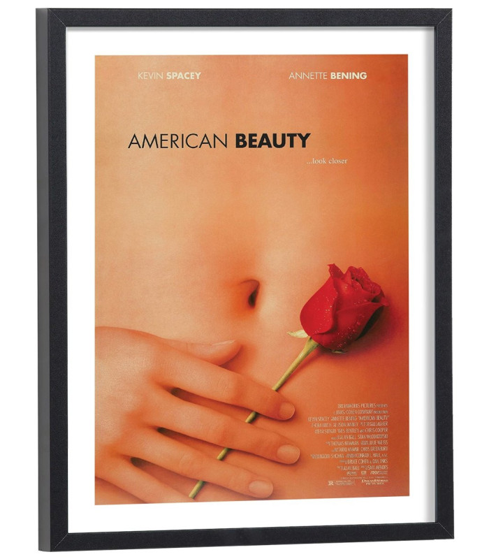 Affiche film American Beauty