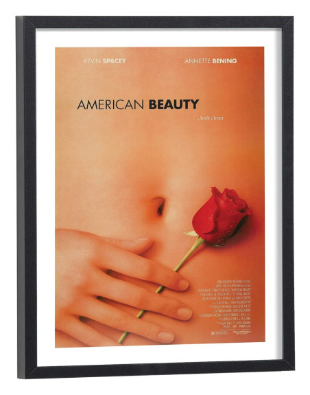 Affiche film American Beauty