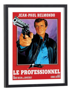 Affiche film Le professionnel