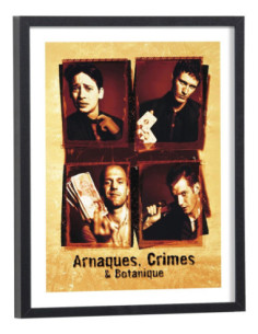 Affiche film Arnaques
