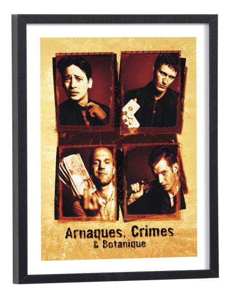 Affiche film Arnaques