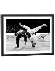 Affiche judo