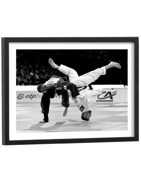 Affiche judo