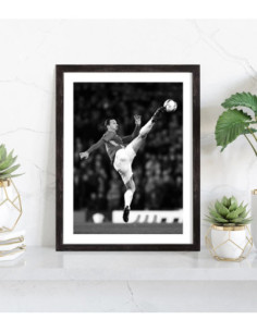 Affiche Zlatan Ibrahomivic 2