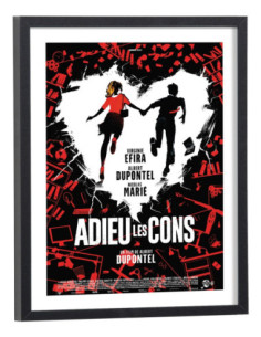 Affiche film Adieu les cons