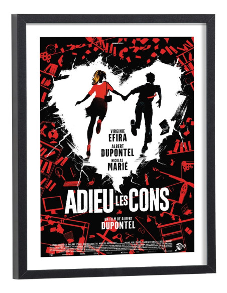 Affiche film Adieu les cons