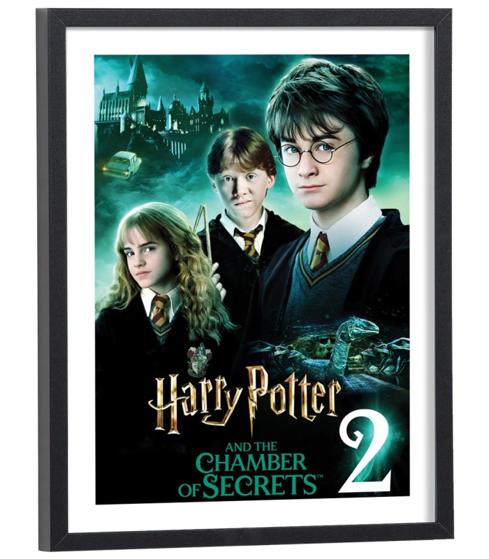 Affiche film Harry Potter et la Chambre des secrets