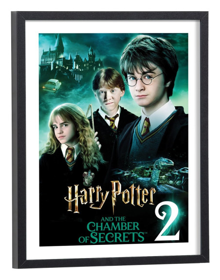 Affiche film Harry Potter et la Chambre des secrets