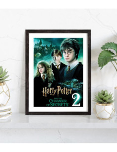 Affiche film Harry Potter et la Chambre des secrets 2