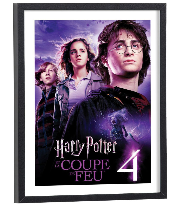 Affiche film Harry Potter et la Coupe de feu