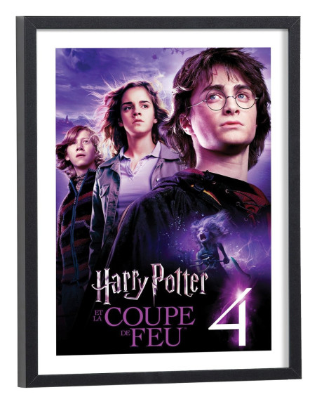 Affiche film Harry Potter et la Coupe de feu