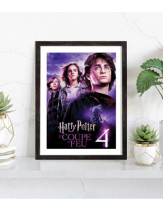 Affiche film Harry Potter et la Coupe de feu 2