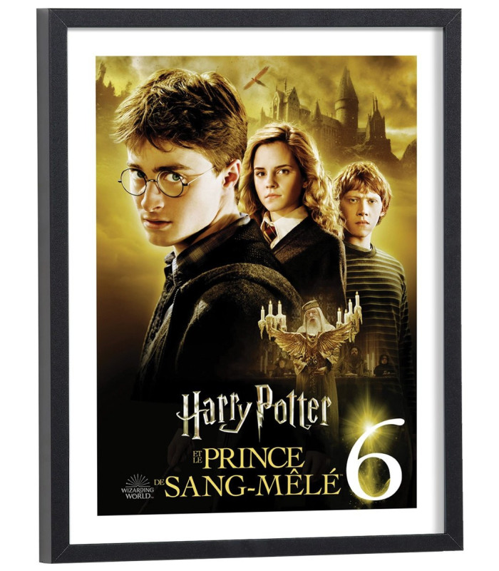 Affiche film Harry Potter et le Prince de sang-mêlé