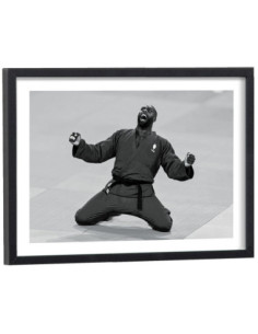 Affiche Teddy Riner Judo