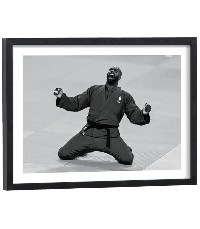 Affiche Teddy Riner Judo