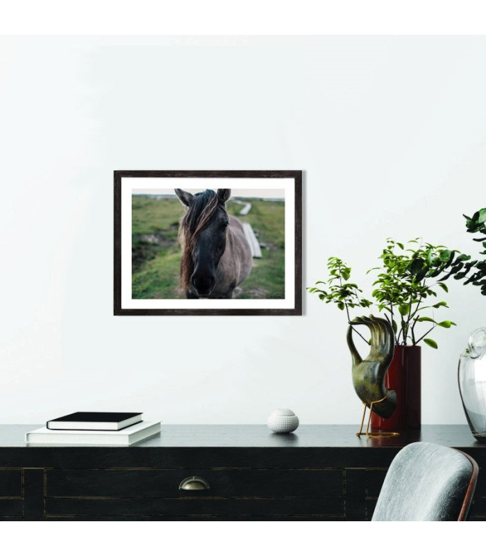 Tableau Cheval étalon gris - Affiche décoration