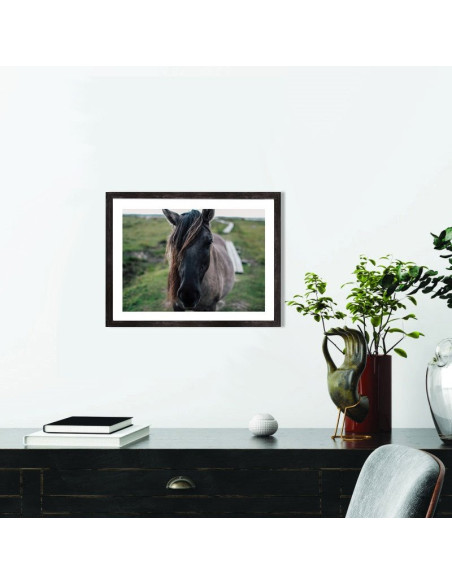 Tableau Cheval étalon gris - Affiche décoration
