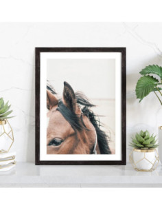 Affiche Cheval gros plan oreilles 2