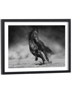 Affiche Cheval au galop