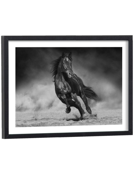 Affiche Cheval au galop