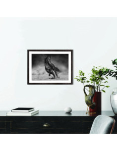 Affiche Cheval au galop 2