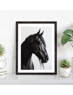 Affiche Tête de cheval noir 2
